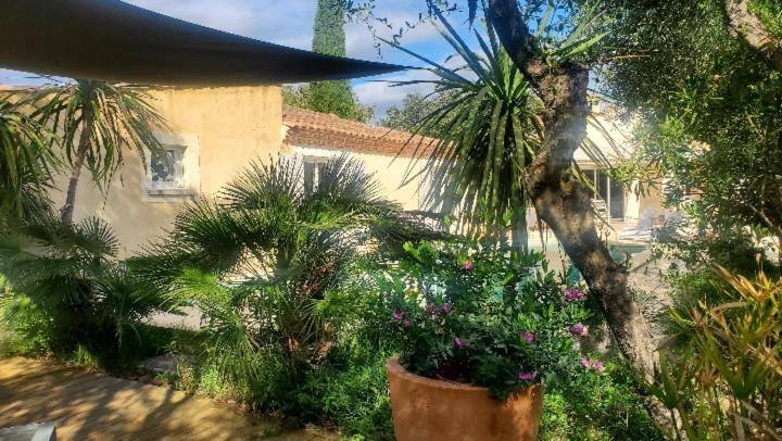 Le Clos Olives Comps  ภายนอก รูปภาพ