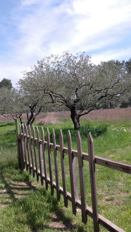Le Clos Olives Comps  ภายนอก รูปภาพ