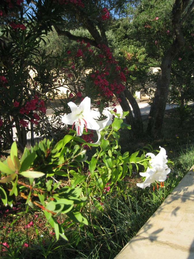 Le Clos Olives Comps  ภายนอก รูปภาพ